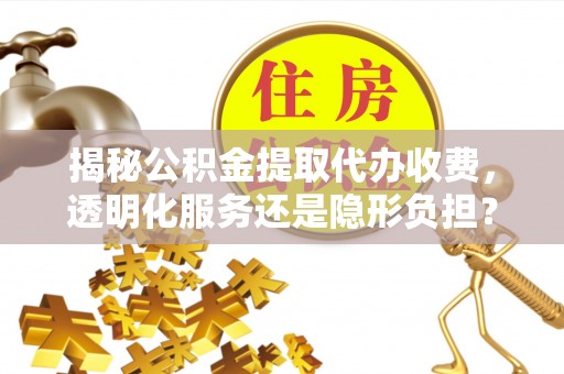 太湖揭秘公积金提取代办收费，透明化服务还是隐形负担？
