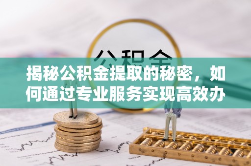 太湖揭秘公积金提取的秘密，如何通过专业服务实现高效办理？