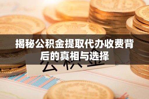 太湖揭秘公积金提取代办收费背后的真相与选择