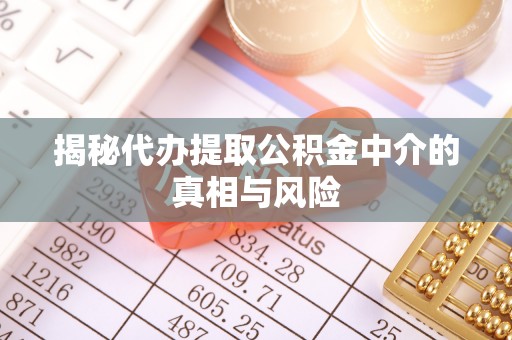 太湖揭秘代办提取公积金中介的真相与风险