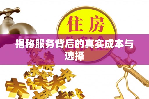 太湖揭秘服务背后的真实成本与选择
