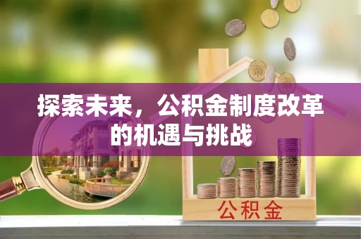 太湖探索未来，公积金制度改革的机遇与挑战
