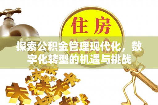 太湖探索公积金管理现代化，数字化转型的机遇与挑战