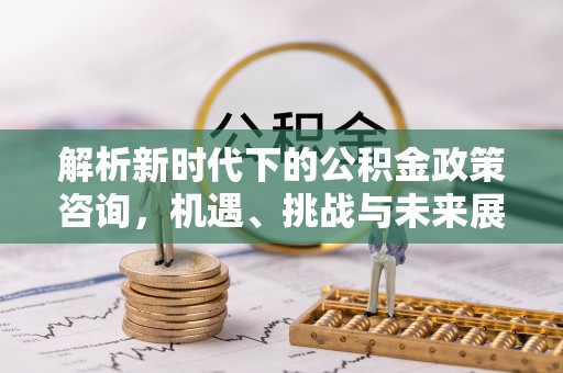 太湖解析新时代下的公积金政策咨询，机遇、挑战与未来展望