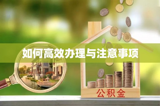 太湖如何高效办理与注意事项