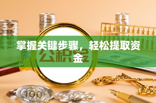 太湖掌握关键步骤，轻松提取资金