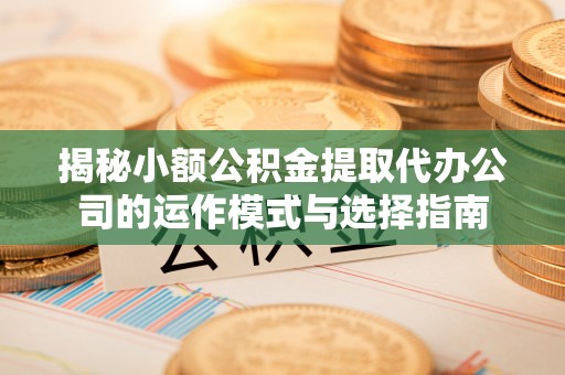 太湖揭秘小额公积金提取代办公司的运作模式与选择指南