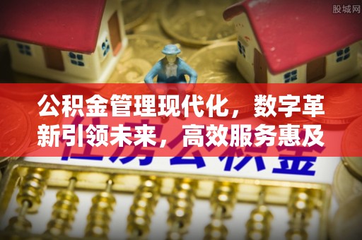 太湖公积金管理现代化，数字革新引领未来，高效服务惠及民生