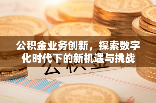 太湖公积金业务创新，探索数字化时代下的新机遇与挑战