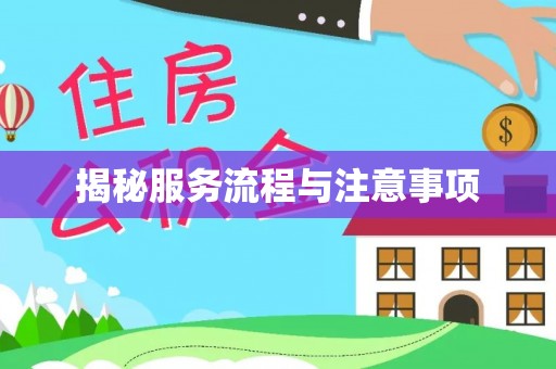太湖揭秘服务流程与注意事项