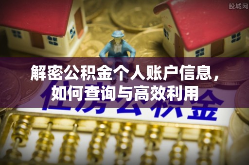 太湖解密公积金个人账户信息，如何查询与高效利用