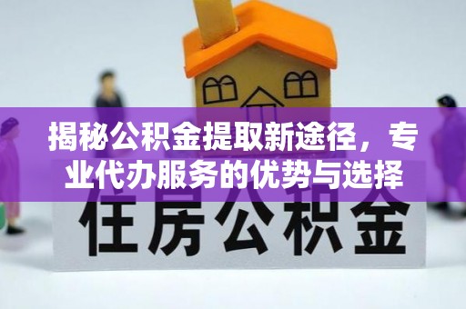 太湖揭秘公积金提取新途径，专业代办服务的优势与选择