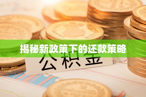 太湖揭秘新政策下的还款策略