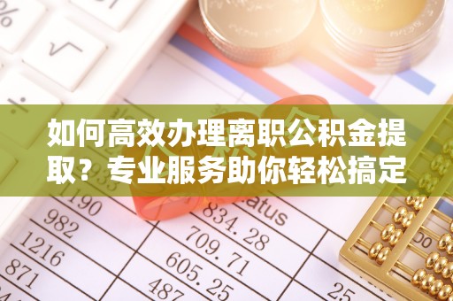 太湖如何高效办理离职公积金提取？专业服务助你轻松搞定