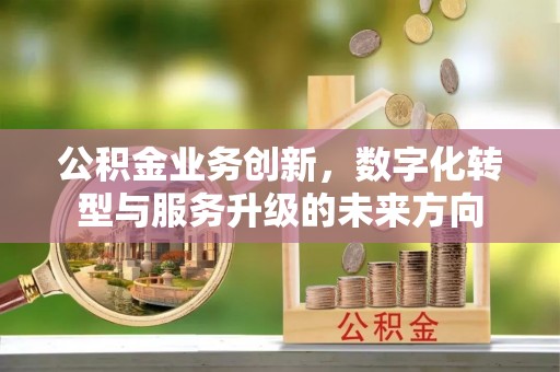 太湖公积金业务创新，数字化转型与服务升级的未来方向