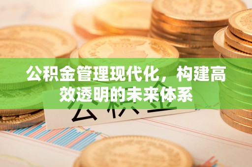 太湖公积金管理现代化，构建高效透明的未来体系