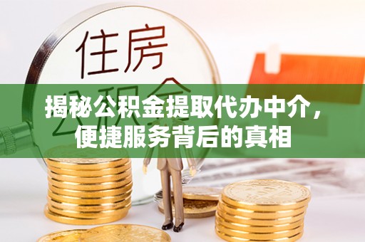 太湖揭秘公积金提取代办中介，便捷服务背后的真相