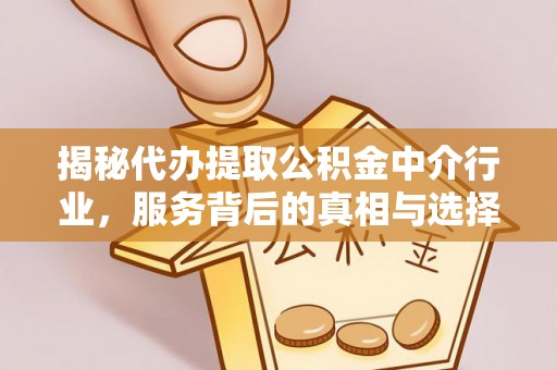 太湖揭秘代办提取公积金中介行业，服务背后的真相与选择指南