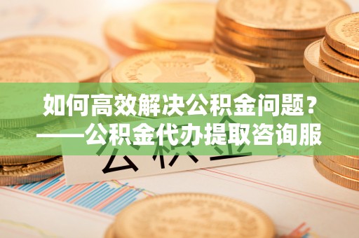 太湖如何高效解决公积金问题？——公积金代办提取咨询服务指南
