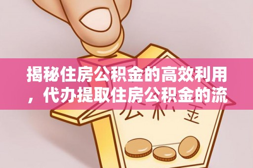 太湖揭秘住房公积金的高效利用，代办提取住房公积金的流程与技巧