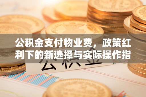 太湖公积金支付物业费，政策红利下的新选择与实际操作指南