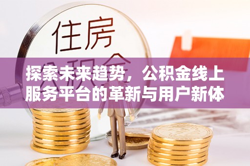 太湖探索未来趋势，公积金线上服务平台的革新与用户新体验