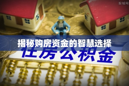 太湖揭秘购房资金的智慧选择