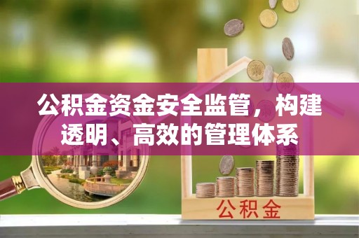 太湖公积金资金安全监管，构建透明、高效的管理体系