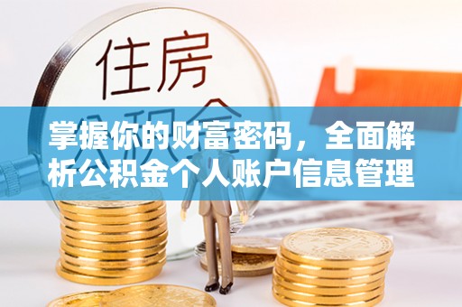 太湖掌握你的财富密码，全面解析公积金个人账户信息管理