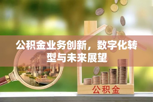 太湖公积金业务创新，数字化转型与未来展望