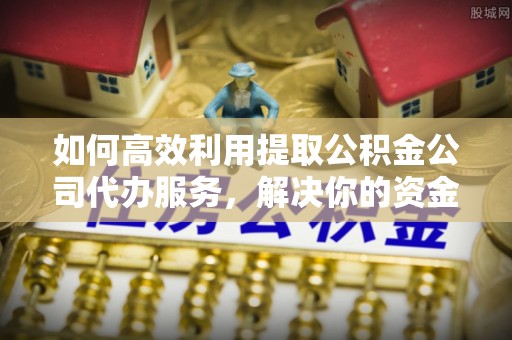 太湖如何高效利用提取公积金公司代办服务，解决你的资金难题