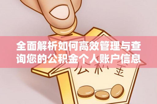 太湖全面解析如何高效管理与查询您的公积金个人账户信息