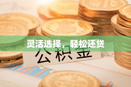 太湖灵活选择，轻松还贷