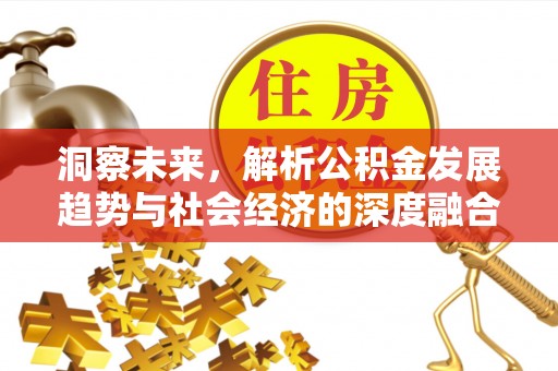 太湖洞察未来，解析公积金发展趋势与社会经济的深度融合
