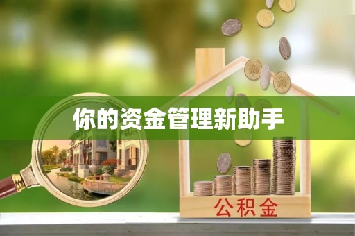 太湖你的资金管理新助手