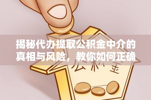太湖揭秘代办提取公积金中介的真相与风险，教你如何正确操作