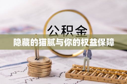 太湖隐藏的猫腻与你的权益保障