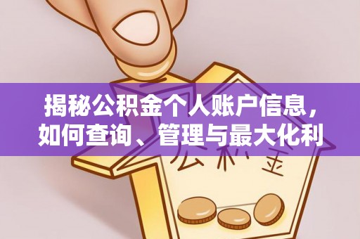 太湖揭秘公积金个人账户信息，如何查询、管理与最大化利用