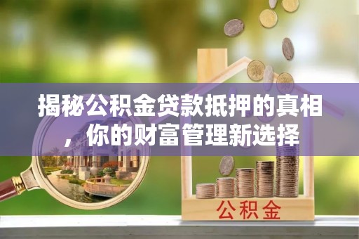 太湖揭秘公积金贷款抵押的真相，你的财富管理新选择