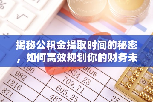 太湖揭秘公积金提取时间的秘密，如何高效规划你的财务未来