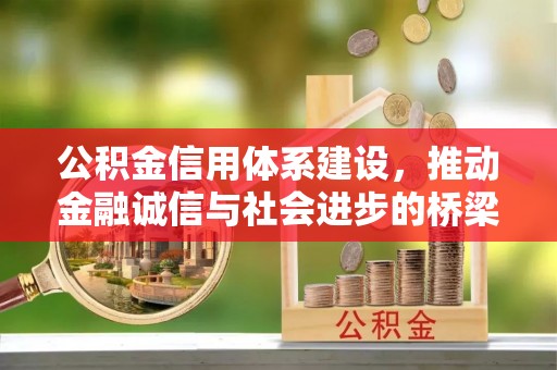 太湖公积金信用体系建设，推动金融诚信与社会进步的桥梁