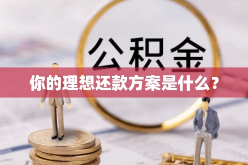 太湖你的理想还款方案是什么？