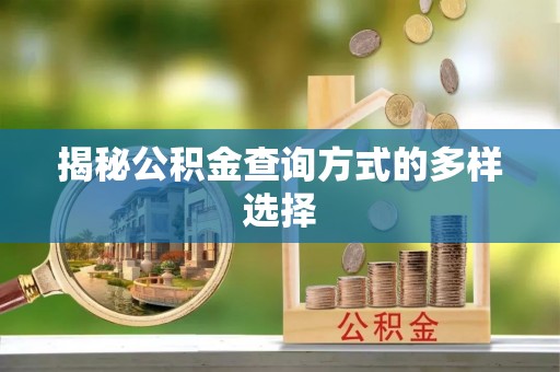 太湖揭秘公积金查询方式的多样选择