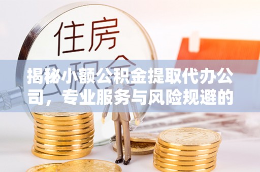 太湖揭秘小额公积金提取代办公司，专业服务与风险规避的平衡艺术