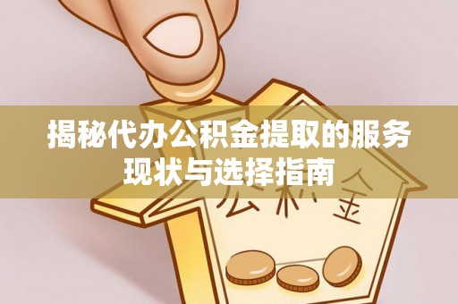 太湖揭秘代办公积金提取的服务现状与选择指南