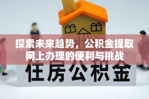太湖探索未来趋势，公积金提取网上办理的便利与挑战