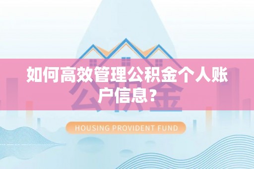 太湖如何高效管理公积金个人账户信息？