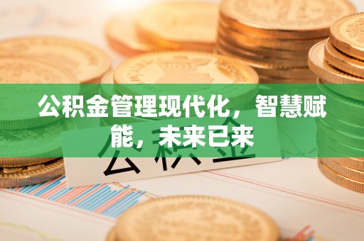太湖公积金管理现代化，智慧赋能，未来已来