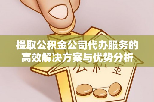 太湖提取公积金公司代办服务的高效解决方案与优势分析