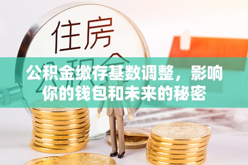 太湖公积金缴存基数调整，影响你的钱包和未来的秘密
